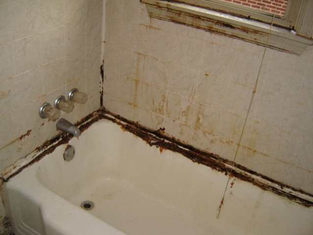 Old Neglected Moldy Tub Before Refinishing 1b | Affordable Refinishing LLC