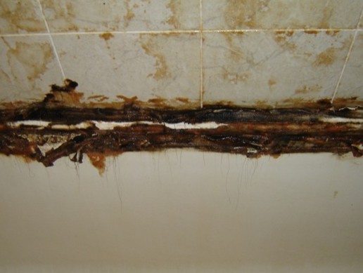 Old Neglected Moldy Tub Before Refinishing 1d | Affordable Refinishing LLC